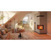 Камінна топка Spartherm Varia 2R-55h